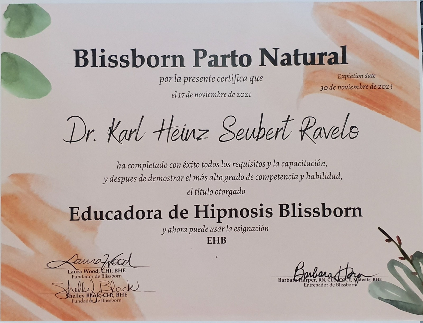Certificación Waterbirth International